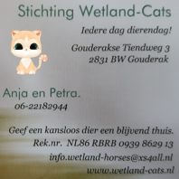 wetland-cats
